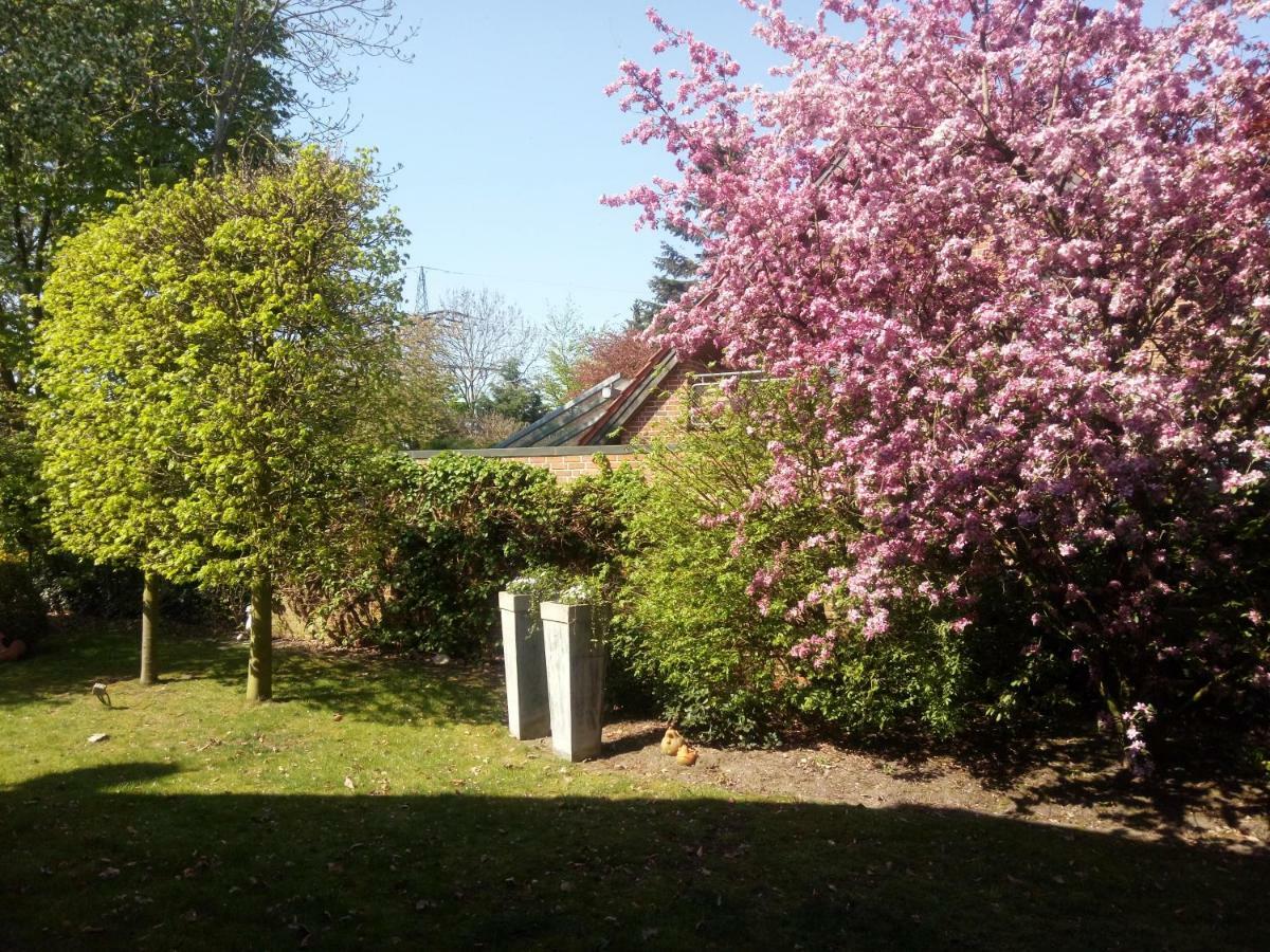 Apartment am Vechtesee Schuettorf Buitenkant foto